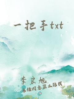 一把手txt