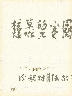 校草的小同桌撩爆啦免费阅读