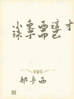 小东西这才一颗珠子而已