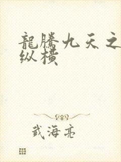 龙腾九天之异世纵横