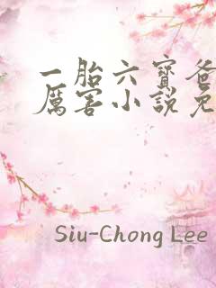 一胎六宝爸比好厉害小说免费阅读