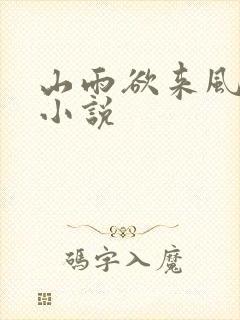 山雨欲来风满楼小说