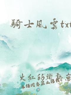 骑士风云txt