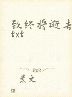 致终将逝去青春txt