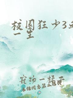 校园狂少3血染一生