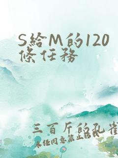 S给M的120条任务