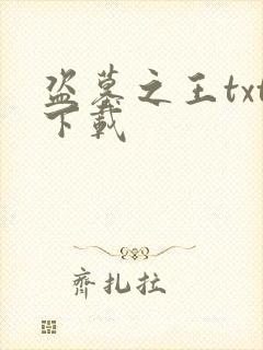 盗墓之王txt下载