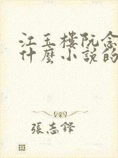 江玉楼阮念笙是什么小说的名字