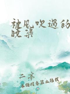 被风吹过的夏天晓渠