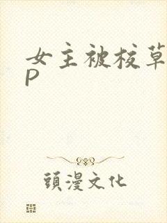 女主被校草们NP