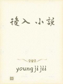 后入 小说