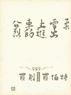 公车上雪柔被猛烈的进出