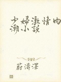 少妇激情肉欲高潮小说