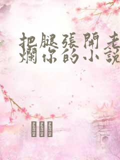 把腿张开老子臊烂你的小说