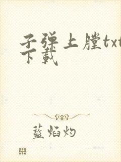 子弹上膛txt下载