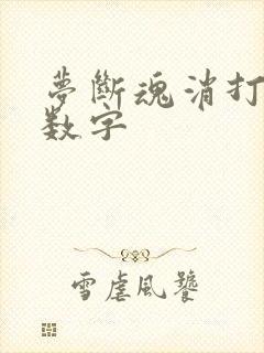 梦断魂消打三个数字