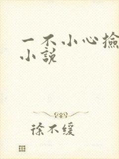 一不小心捡到爱小说