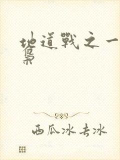 地道战之一代功枭