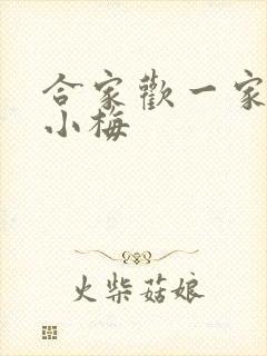 合家欢一家亲黄小梅