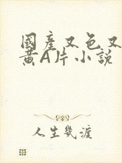 国产又色又爽又黄A片小说