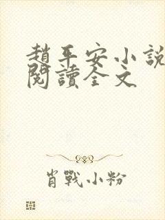 赵平安小说免费阅读全文