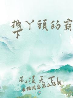 拽丫头的霸道殿下