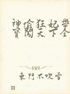 神偷狂妃带着宝宝闯天下全文免费阅读