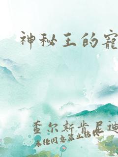 神秘王的宠姬