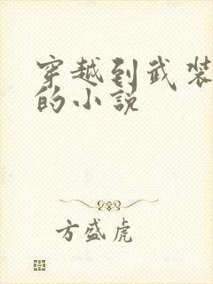 穿越到武装少女的小说