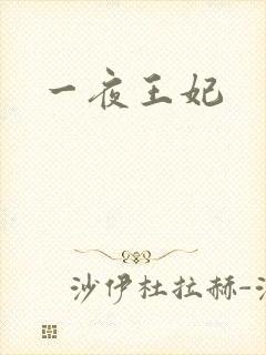 一夜王妃