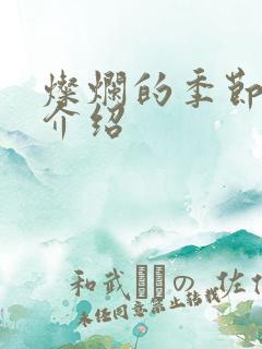 灿烂的季节剧情介绍