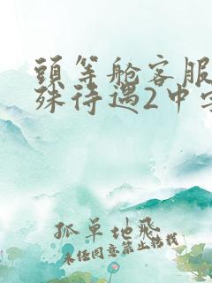 头等舱客服的特殊待遇2中字