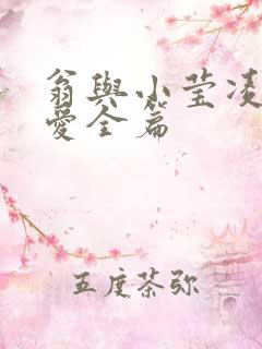 翁与小莹凌晨欢爱全篇