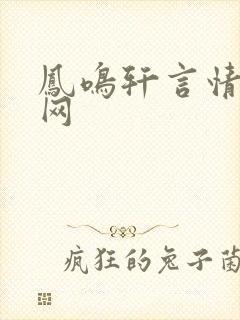 凤鸣轩言情小说网