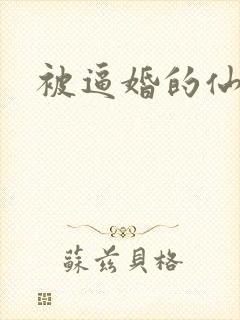 被逼婚的仙二代
