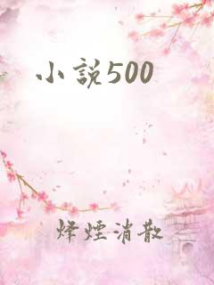 小说500