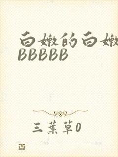 白嫩的白嫩的BBBBBB