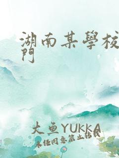 湖南某学校秋千门