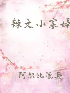 辣文小寡妇