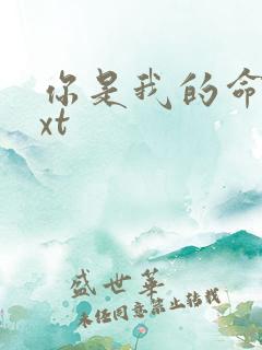 你是我的命运txt