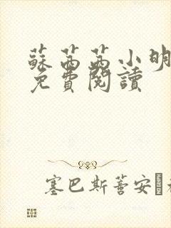 苏茜茜小明全文免费阅读