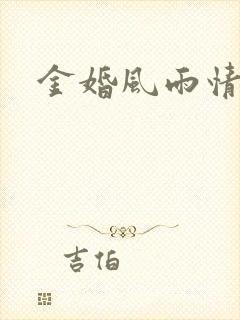 金婚风雨情下载
