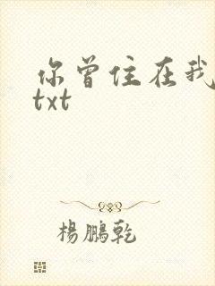 你曾住在我心上txt