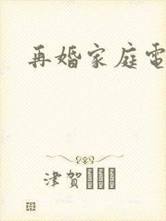 再婚家庭电视剧