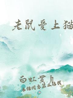 老鼠爱上猫下载