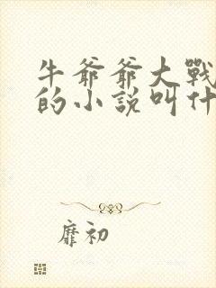 牛爷爷大战小丽的小说叫什么