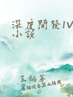 深度开发1V3小说