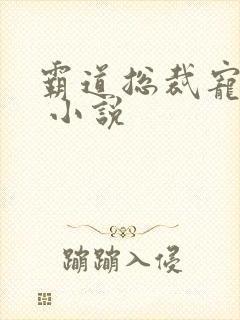 霸道总裁宠上天 小说