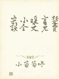 宋小暖言楚行小说全文免费阅读