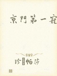 京门第一宠